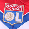 Прогноз на матч Олимпик Лион - ПСЖ [01.06.17] : французский финал