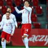 Прогноз на матч Польша U21 - Швеция U21 [19.06.17] : поляки не могут собраться